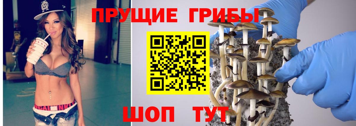 купить закладку  Вход с VPN  Лангепас  Псилоцибиновые грибы мухоморы  Галлюциногенные грибы Magic Shrooms 